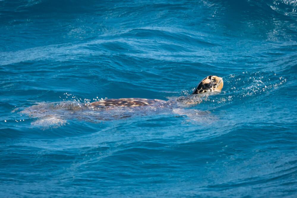 saturday-by-l-morel (20)