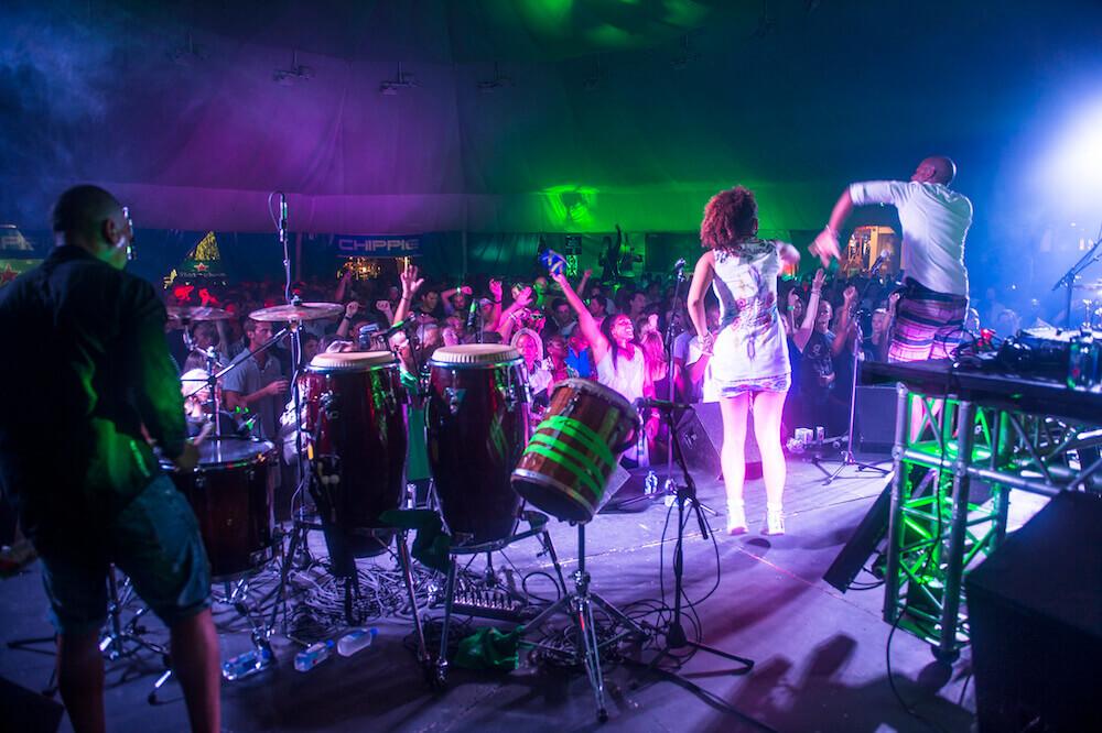 thursday-party-green-energy-2016 (14)